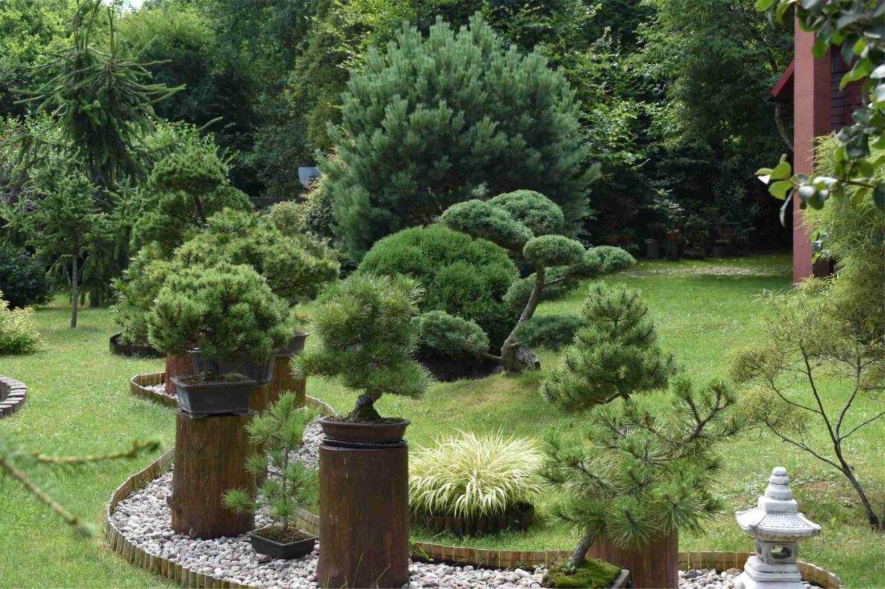 Ogrod Shinrin Yoku Villa Srokowo Exterior foto